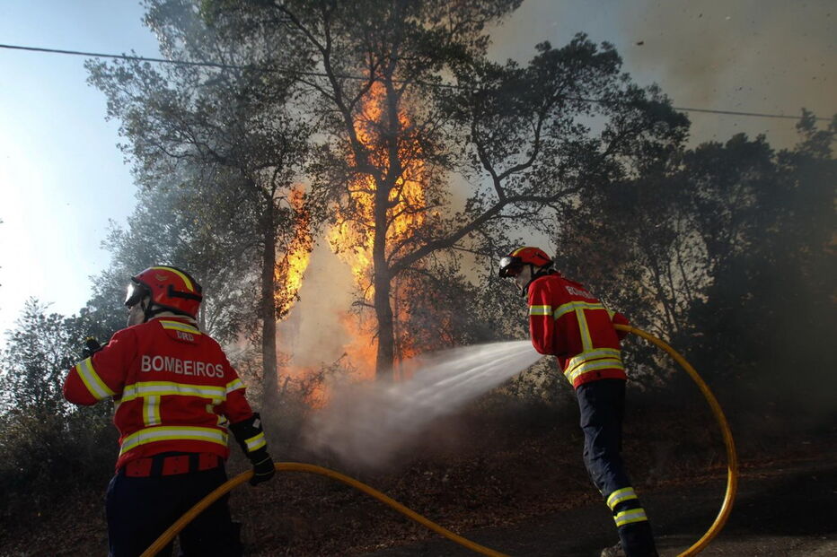 Depois de ter visto um incêndio em Coimbra, mulher queria ver trabalho dos bombeiros junto a sua casa