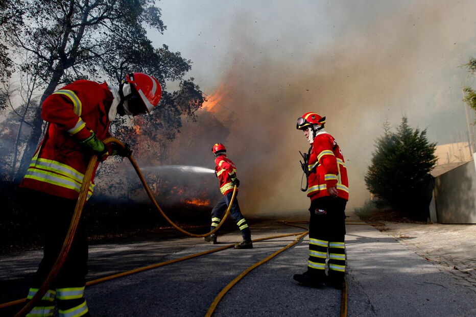 Depois de ter visto um incêndio em Coimbra, mulher queria ver trabalho dos bombeiros junto a sua casa