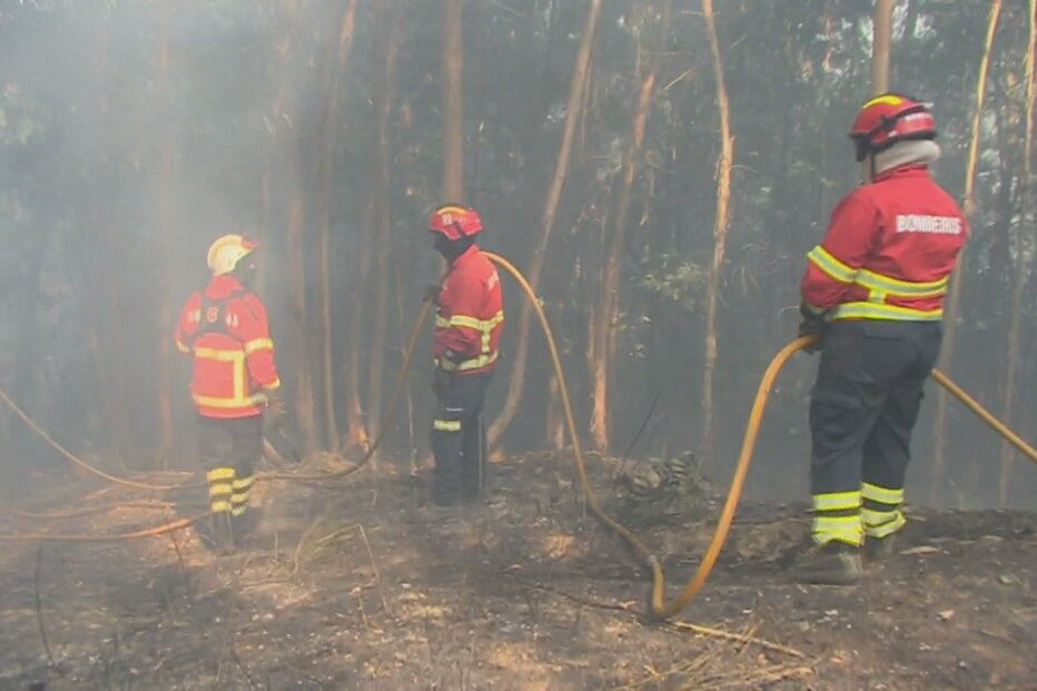 Coimbra, Penacova, Grupo de Reforço para Incêndios Florestais de Viseu, Paradela, Autoridade Nacional de Proteção Civil, ANPC, Lorvão, acidentes e desastres, organizações de socorro