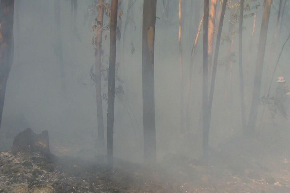 Coimbra, Penacova, Grupo de Reforço para Incêndios Florestais de Viseu, Paradela, Autoridade Nacional de Proteção Civil, ANPC, Lorvão, acidentes e desastres, organizações de socorro