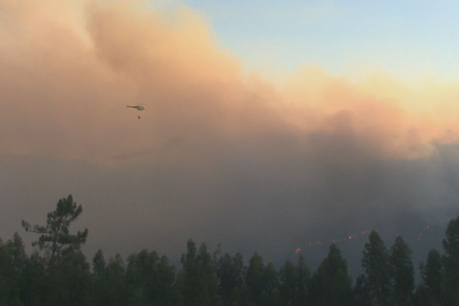 Coimbra, Penacova, Grupo de Reforço para Incêndios Florestais de Viseu, Paradela, Autoridade Nacional de Proteção Civil, ANPC, Lorvão, acidentes e desastres, organizações de socorro