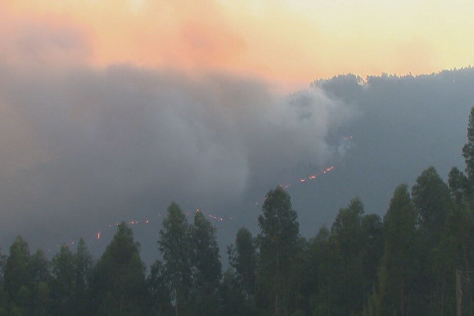 Coimbra, Penacova, Grupo de Reforço para Incêndios Florestais de Viseu, Paradela, Autoridade Nacional de Proteção Civil, ANPC, Lorvão, acidentes e desastres, organizações de socorro