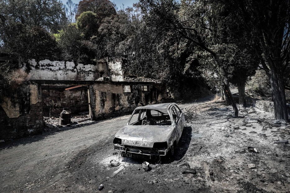 Mação, cinzas, incêndio