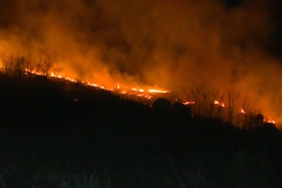 fogo, mangualde, chamas