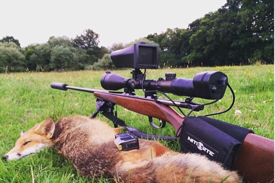 Mulher desiste de supermercados e começa a caçar a própria comida