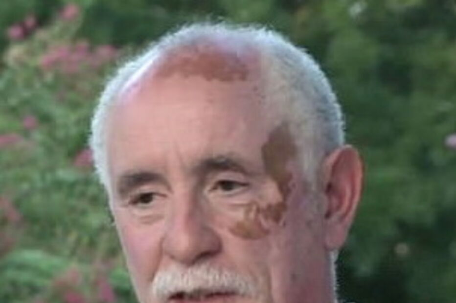 Urso gigante encontrado a dormir em varanda