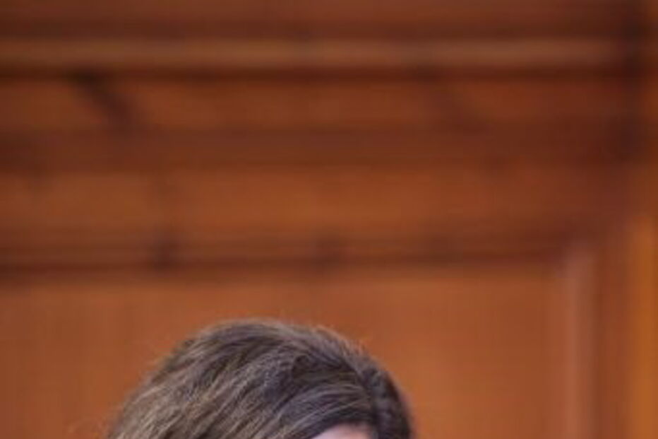Rendimento Social de Inserção, PS, Idália Serrão, CDS-PP, RSI, CDS, Governo, política, questões sociais, governo (sistema), executivo (governo), pobreza