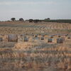 <![CDATA[ Novo recorde de calor em Maio. 40,3ºC em Mora  ]]>