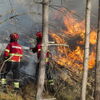<![CDATA[ Quatro concelhos do interior norte e centro e do Algarve em perigo máximo de incêndio ]]>