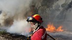Sexta-feira foi o dia do ano com mais incêndios em Portugal