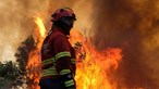 Incêndio no Parque Natural de Montesinho em Bragança combatido por meios portugueses e espanhóis