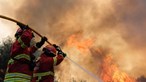Incêndio em armazém industrial em Vila Nova de Gaia mobiliza 28 operacionais