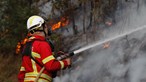Incêndio em Mortágua combatido por mais de 300 bombeiros