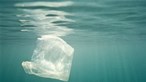 Pacto Português para os Plásticos tem primeiro relatório, com metas difíceis mas possíveis