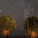 Chuva de meteoros Leónidas visível à noite mas só com céu limpo 