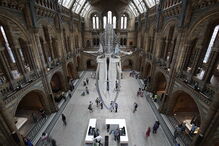 Museu de História Natural de Londres