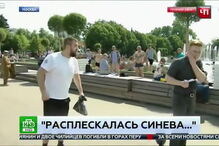 Jornalista russo esmurrado em direto