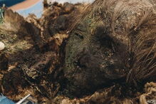 Princesa é encontrada 900 anos depois com cabelo e pestanas