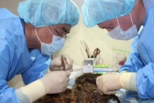 Princesa é encontrada 900 anos depois com cabelo e pestanas