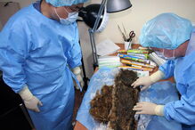 Princesa é encontrada 900 anos depois com cabelo e pestanas