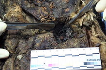 Princesa é encontrada 900 anos depois com cabelo e pestanas