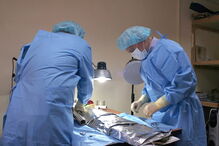 Princesa é encontrada 900 anos depois com cabelo e pestanas