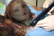 Princesa é encontrada 900 anos depois com cabelo e pestanas