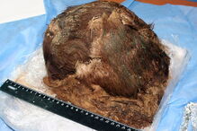 Princesa é encontrada 900 anos depois com cabelo e pestanas