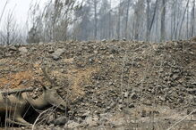  Faz este sábado sete semanas que o incêndio deflagrou, em Escalos Fundeiros, Pedrógão Grande