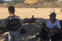 Georgina e Cristianinho passam dia no Zoo