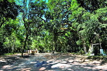 Bombarral, Quinta, Santuário do Bom Jesus do Carvalhal, Buddha Eden, Europa, Bacalhôa Buddha Eden, Loridos, Altura, Palácio Gorjão, artes, cultura e entretenimento