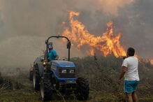 Incêndio na Mealhada obriga ao corte da A1 nos dois sentidos