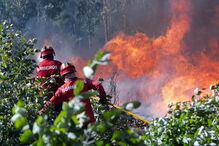 Incêndio na Mealhada obriga ao corte da A1 nos dois sentidos