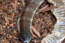 2017-08-11_15_43.56 129718291.jpg