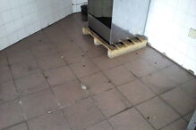 Baratas espalhadas no chão da cozinha do posto da GNR da Trofa. Comando Territorial do Porto confirmou ‘invasão’ de insetos e promete desinfestação