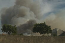 Incêndio na Mealhada