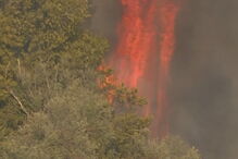 Incêndio em Torres Vedras