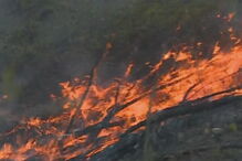 Incêndio em Torres Vedras
