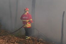 Incêndio em Torres Vedras