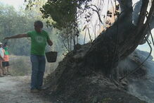 Incêndio na Mealhada