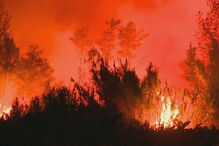 Incêndio na Mealhada
