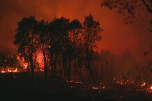 Incêndio na Mealhada