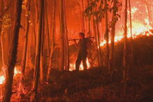 Incêndio em Ferreira do Zêzere