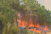 Incêndio em Castelo Branco