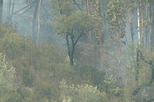 Incêndio em Sabrosa