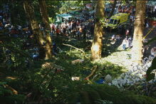 Árvore cai e mata 13 pessoas durante romaria no Funchal