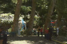 Árvore cai e mata 13 pessoas durante romaria no Funchal