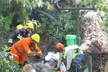 As imagens da tragédia no Funchal