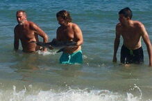 2017-08-16_13_22.03 golfinho 2.PNG