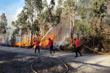 Fogos em Mouriscas e Vila de Rei não deram descanso aos bombeiros